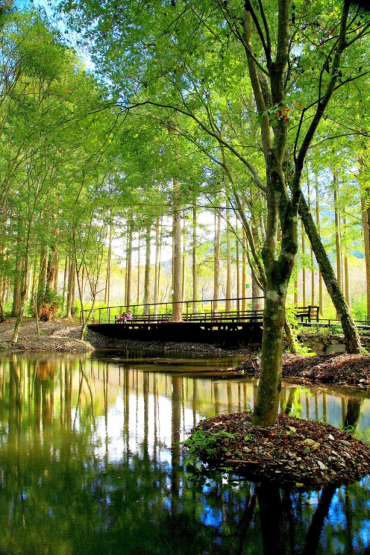 奧萬大週年慶 7月1日至5日入園銅板價優惠