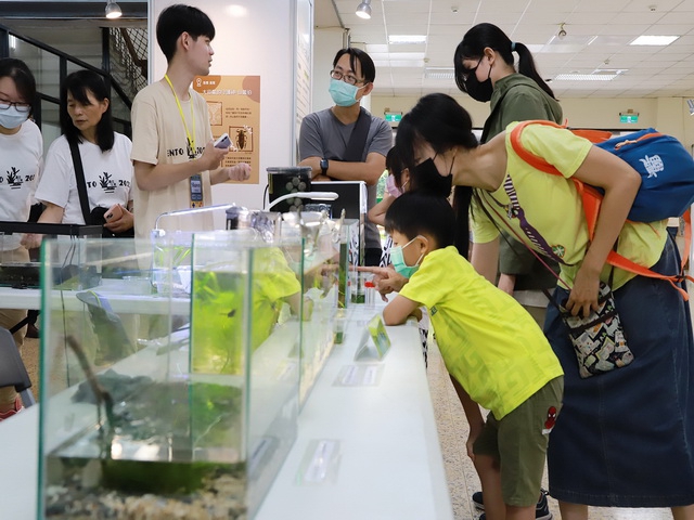 中興大學濕地昆蟲展  7月1日熱鬧開幕