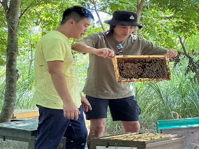 蜂蜜達人陳祐堂是8年級生但蜂蜜賽頭等獎