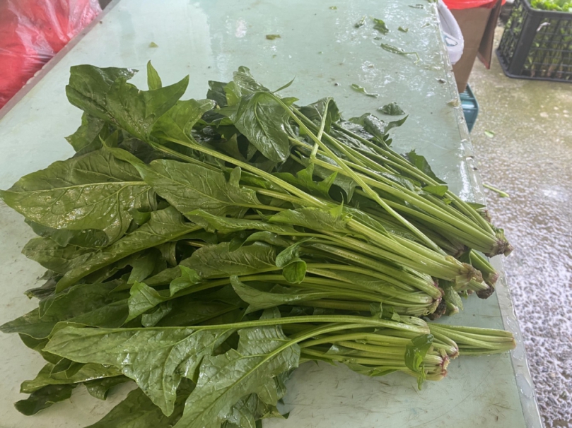 縣政府主動號召員工，發起仁愛鄉災區農產品團購活動