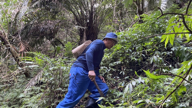 桃山部落參加生態服務給付  守護全臺罕見黑熊及石虎共域重要棲地