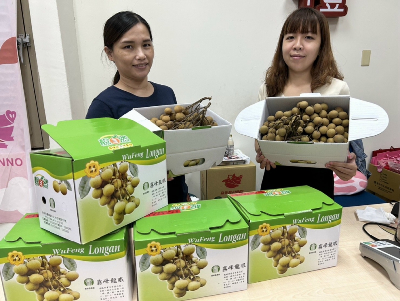 台中霧峰龍眼產量大豐收  大安農會熱心協助行銷