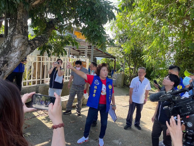 霧峰山區龍眼樹疣胸琉璃蟻肆虐  市議員林碧秀邀相關單位現勘研擬解決方案