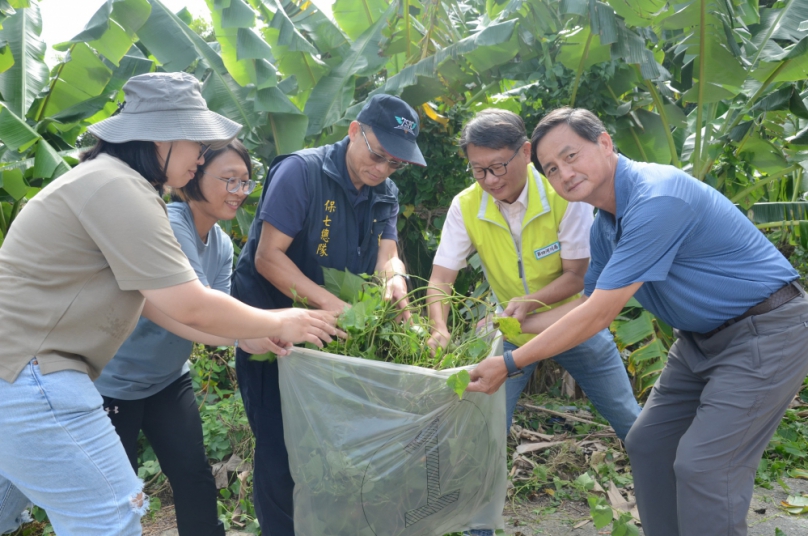 林業保育署南投分署宣導除蔓 小花蔓澤蘭拔除後化身防蚊利器