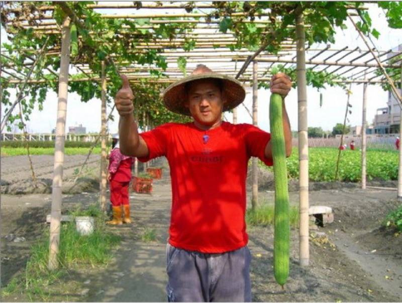 秋節首選庇護好禮　守護身障者工作夢想