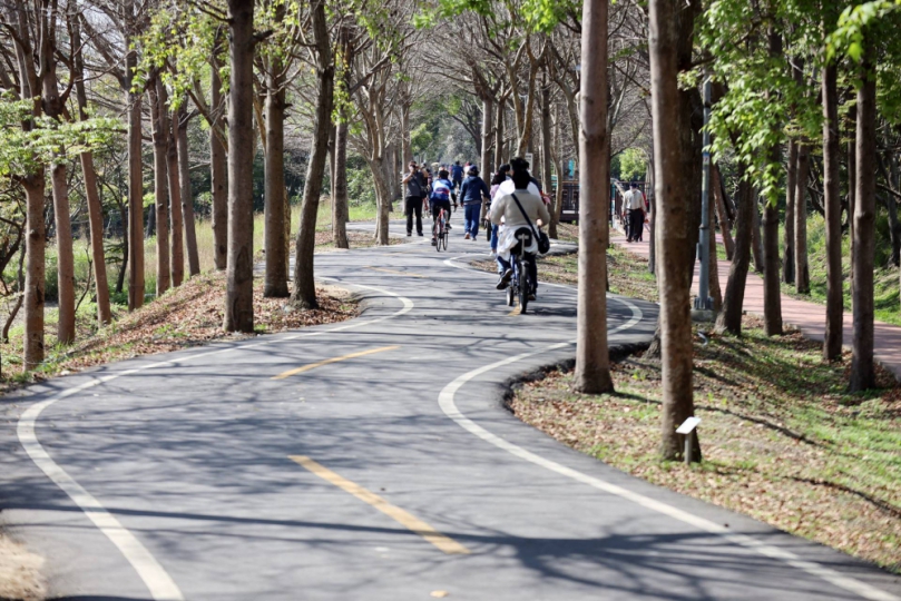 潭雅神綠園道導入節電智能路燈　燈光優化再升級