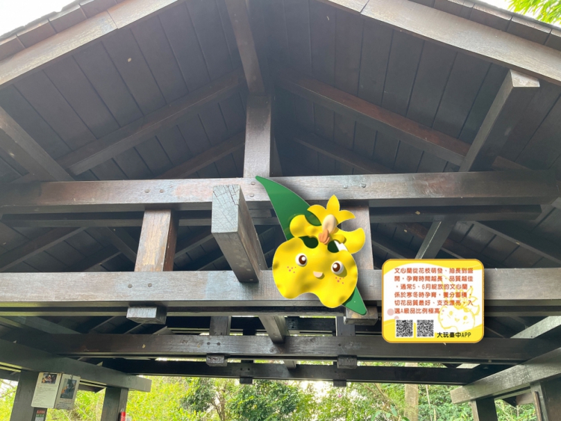 大坑登山步道特色優化工程10月底動工　提供優質親山健行體驗