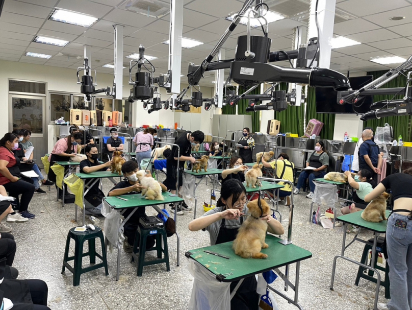 中市勞工局職業訓練增能  中高齡資訊經理成功轉職料理達人