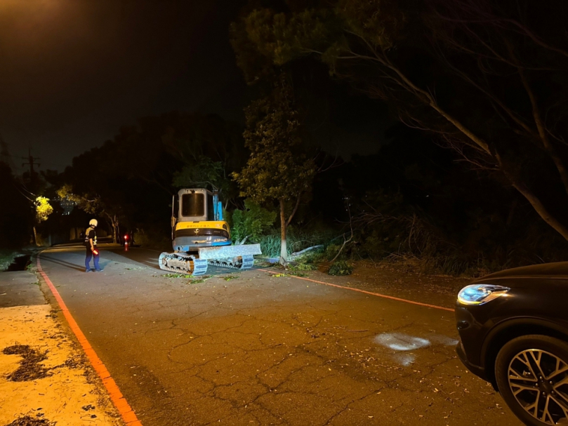 颱風來襲路樹倒  清水警實施交通管制