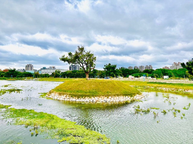 大里區樹王里映彩湖  綠川旱排環抱的浪漫滯洪池