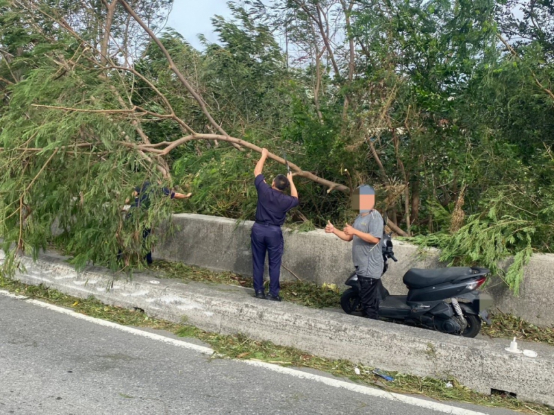 小犬成狂犬！路樹傾倒阻交通  警所長鋸樹及時排除恢復通車