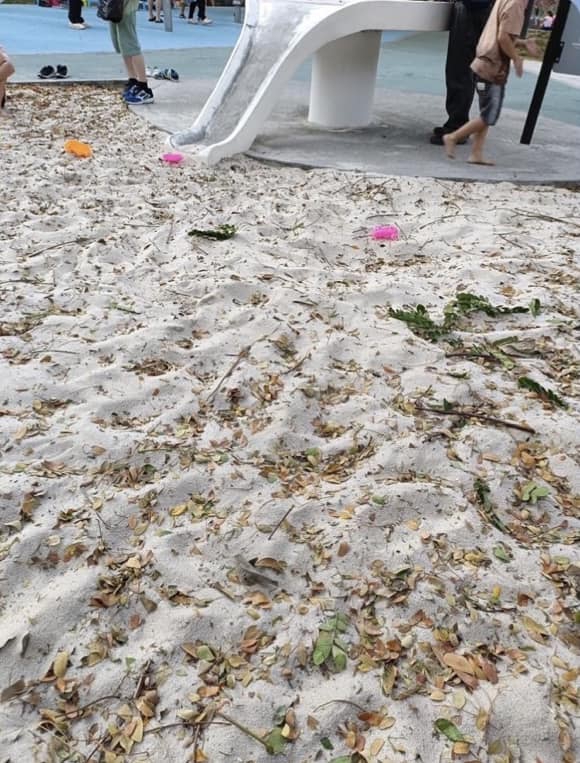 陳亭妃、陳秋萍籲訂定公園沙坑管理維護機制