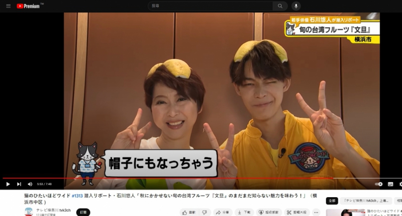 陳亭妃現身日本神奈川電視台行銷文旦