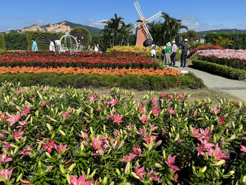 中社觀光花市百合花季啟動