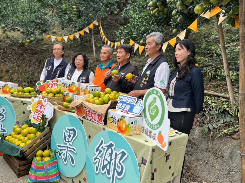 竹崎農會舉辦柑橘產銷及評鑑提升品質  柑橘果樹講習  讓果農種植技術更加純熟