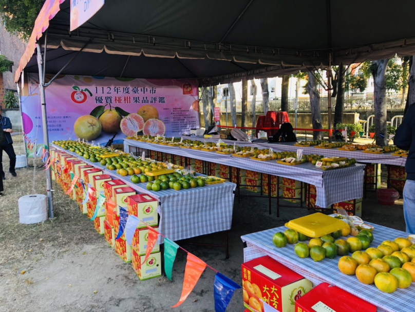 台中好橘出擊！優質椪柑安心選購  豐原張棋禎獲年度「椪柑王」