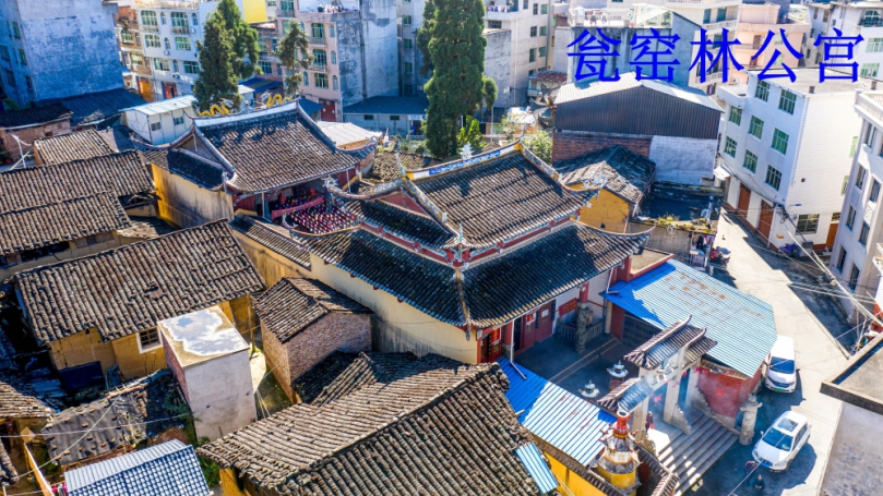 心隨林公情愈篤  一生護神志不移