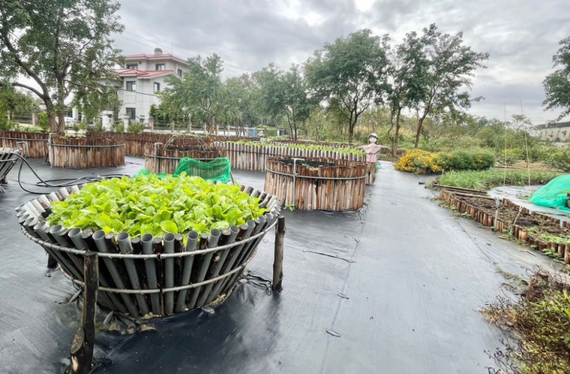 新竹新埔內立知足園免彎腰無障礙菜園   凝聚社區關懷  推廣生態教育