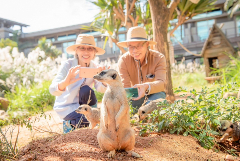 怎麼算都超划算！關西六福莊只要一人加一元   任選多種動物體驗
