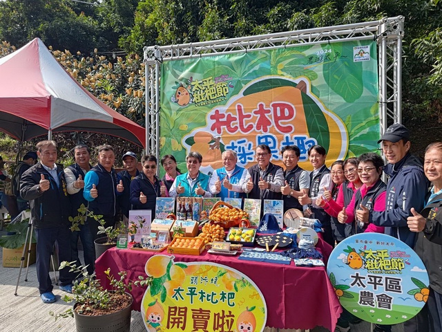 遊太平枇杷風情  太平枇杷節正式展開