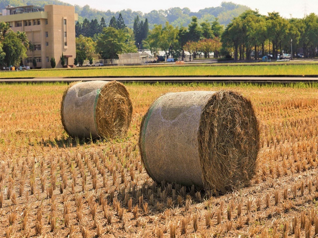 稻稈揉漿物技術加值應用玩出新創意