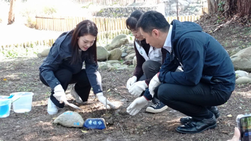 高虹安種光蠟樹   啟動新竹生態復育