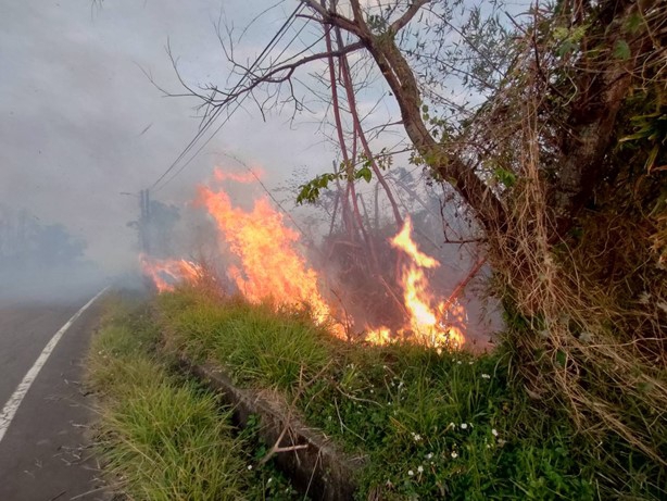 減少墓地林火  林業保育署臺中分署推動金紙集中處理安心祭祖