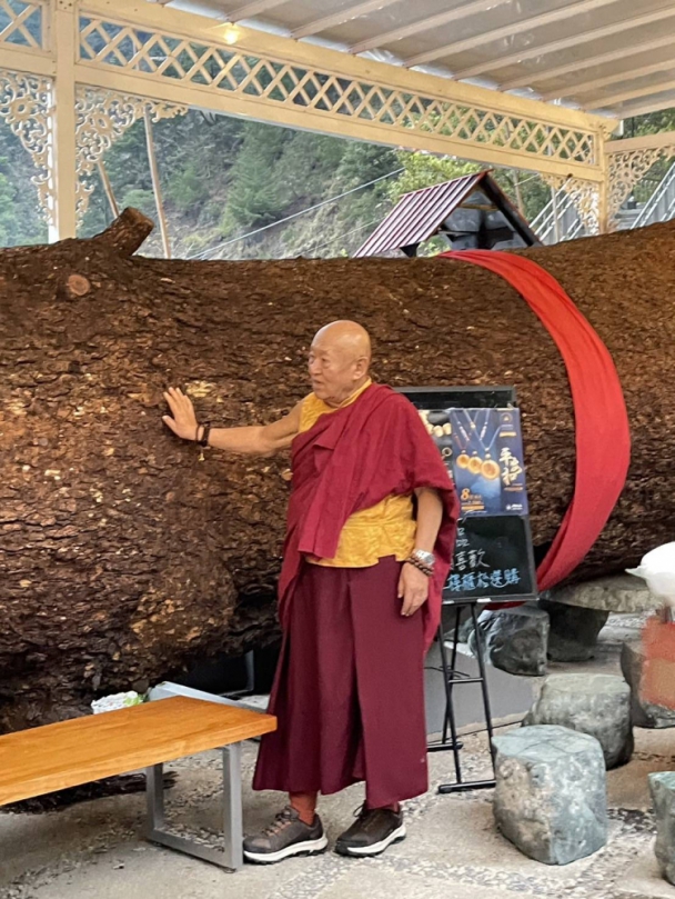 受邀在台中谷關千年神木倒塌原址種植五葉松新苗  藏傳佛教直貢法王於釋迦牟尼佛涅槃日加持祝福神木谷期望再創千年傳奇  千年神木主幹完成天然養護即日起開放遊客參觀紀念