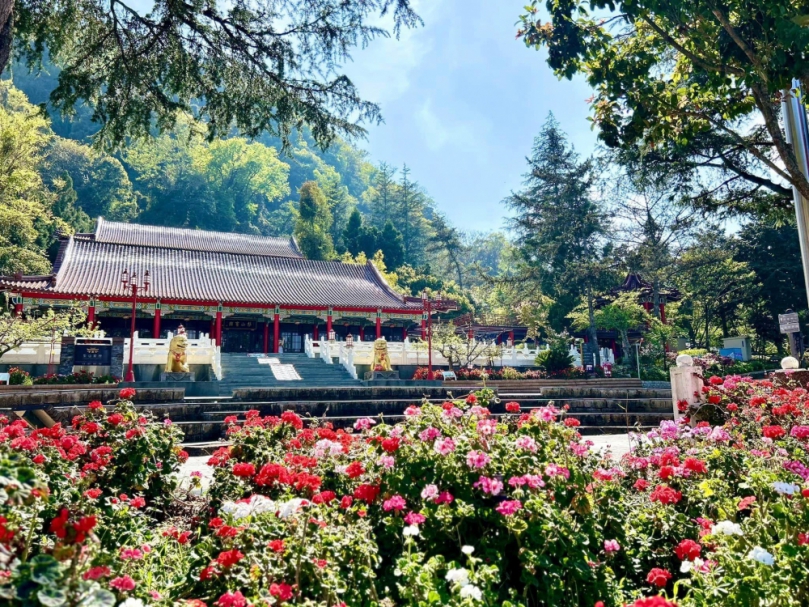 清明連假遊參山  百花齊放好春光