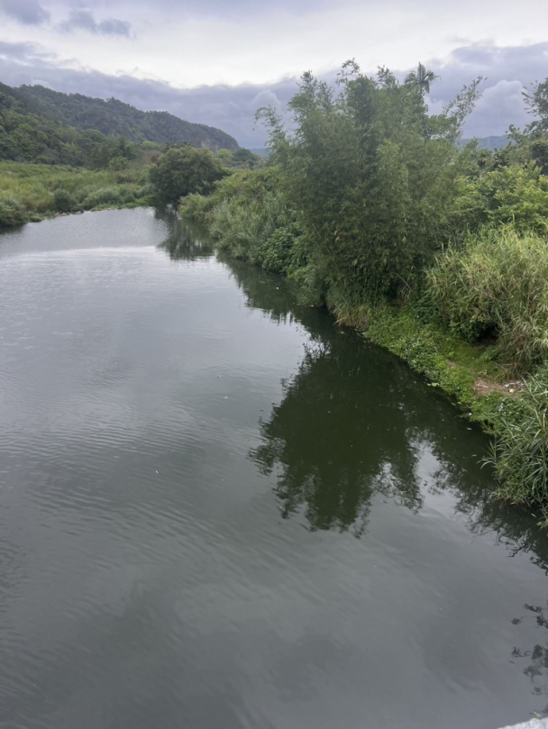 關西鳳山溪油污 楊文科命強化監控稽查 鐵腕嚴懲不法