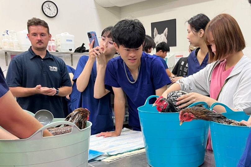 教育部新南向補助  弘光科技大學動保系生赴澳洲學動物照護