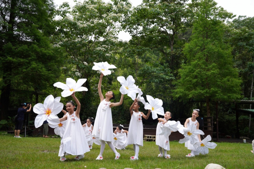 新竹桐花祭在峨眉  楊文科邀民眾遶桐花探索客庄文化