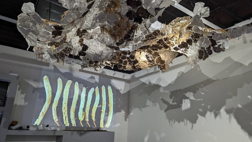 順天應地 植變美學　從當代藝術展演照見客家精神美學