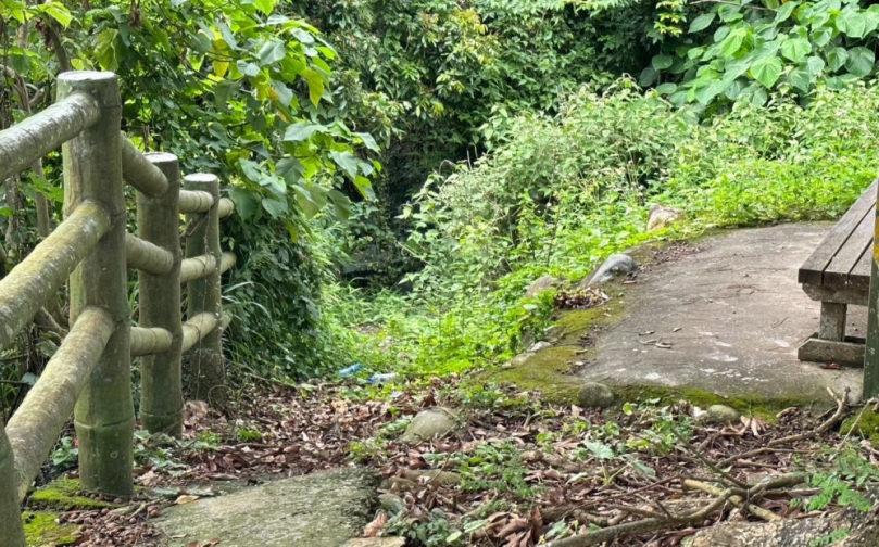 雲林林北大坑步道增設3道階梯　劉建國爭取400萬今召開施工說明會