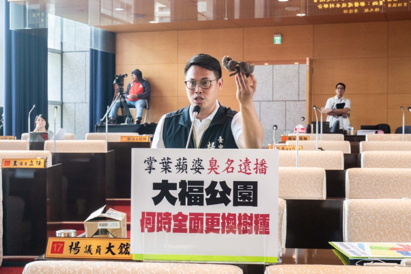 掌葉蘋婆樹惡臭問題許久   國民黨台中市議員楊大鋐要求市府盡速盤點、改進