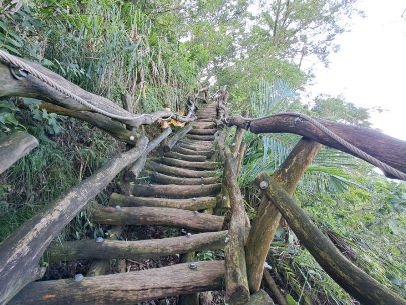 中市步道安全升級！大坑2、6、8號登山步道啟動復建工程