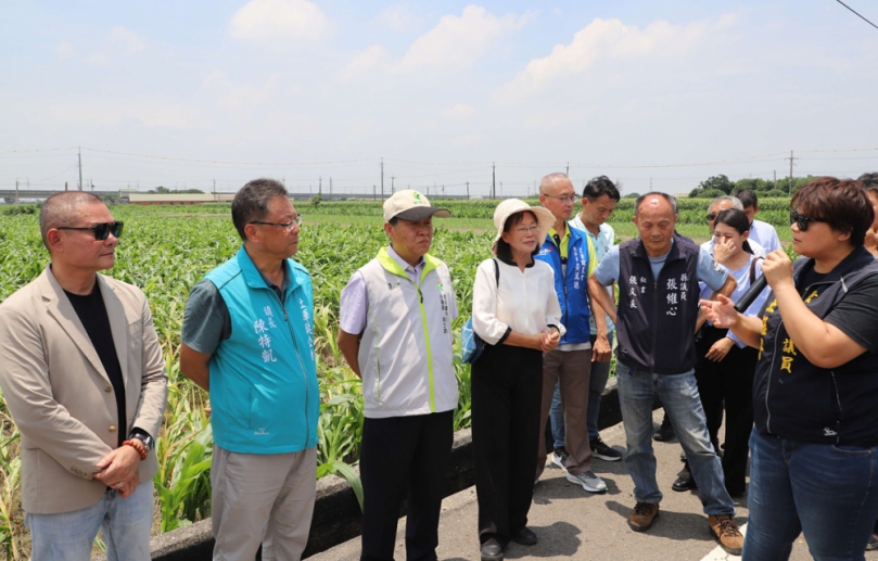 雲林因強降雨玉米倒伏災情嚴重　縣府啟動天然災害救助程序