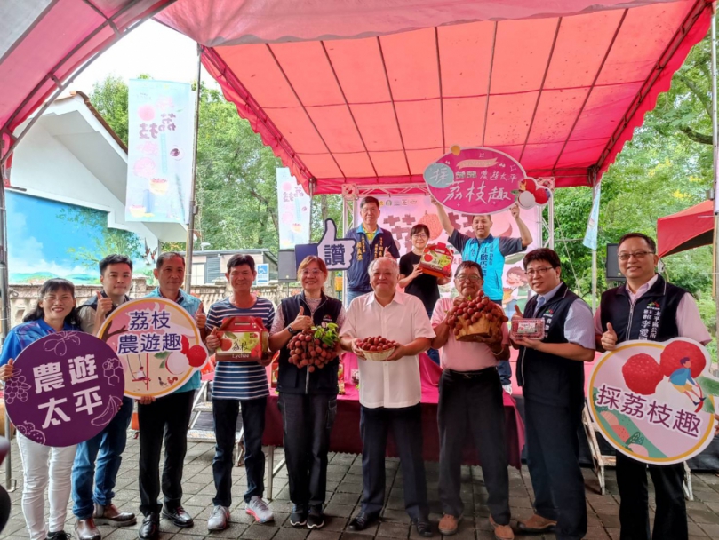 2024太平採荔枝趣6月8日開跑