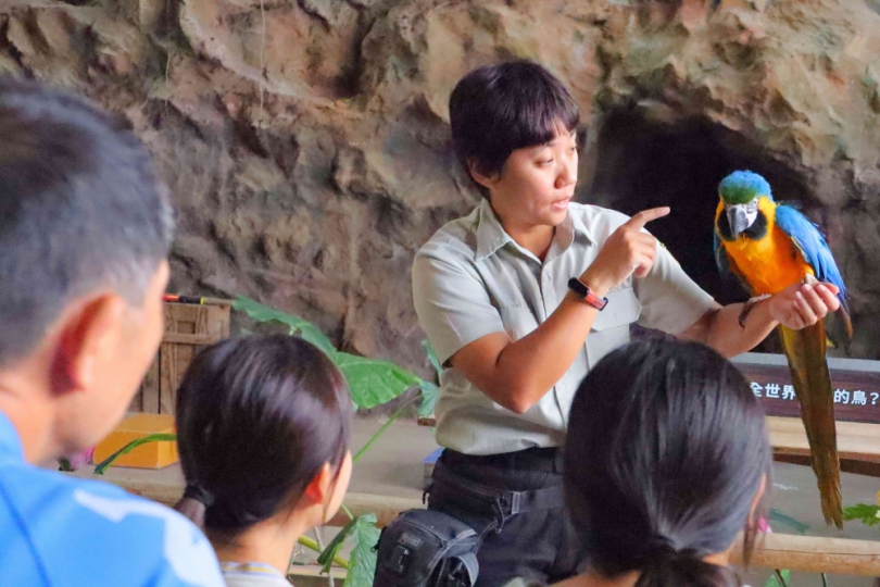 鳥飛、農事體驗讓寶貝在玩樂學習  來場不一樣的六福端午之旅！