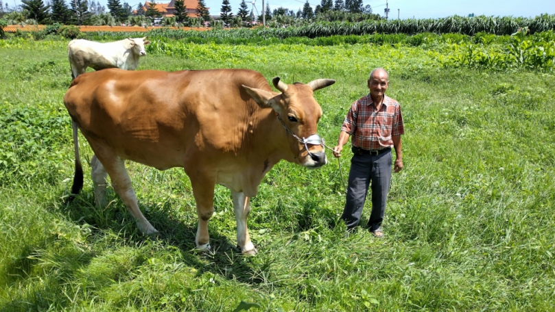 養牛達人洪永化。（照片縣府提供）