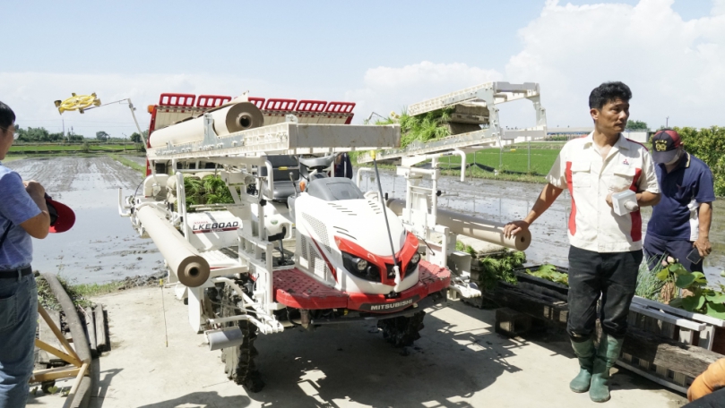 紙蓆插秧免挲草  有機稻田省工好幫手