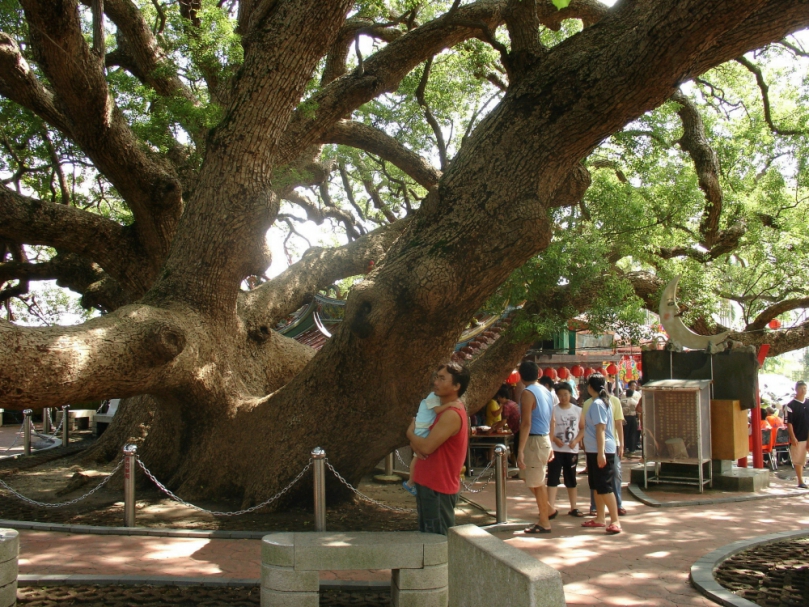 迎合遊客暑假前來台中市后里區觀光  后里區公所籌劃多條熱點觀光景點旅遊線