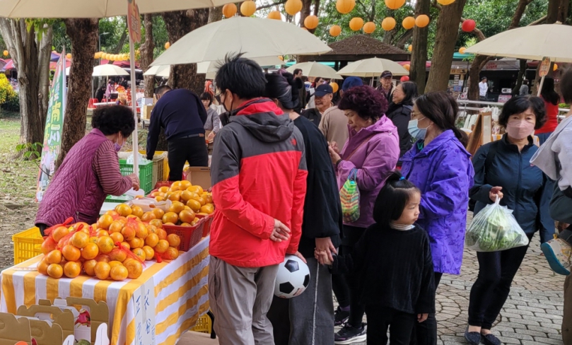 2025古坑鄉茂谷柑節喜氣登場　歲末祈福迎新春！大龍小龍喜喜連連