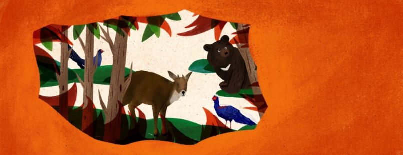 新春入山踏青   新竹林業分署呼籲注意森林防火