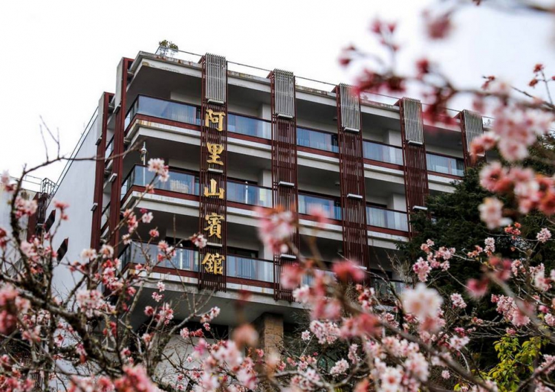 阿里山賓館推櫻花限定房和服體驗 古老蒸汽火車賞櫻2/25日開放訂票