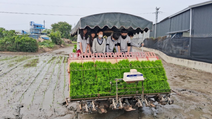台中市大里區農會舉辦「作伙插秧趣」活動  崇光國小師生下田體驗插秧的辛苦