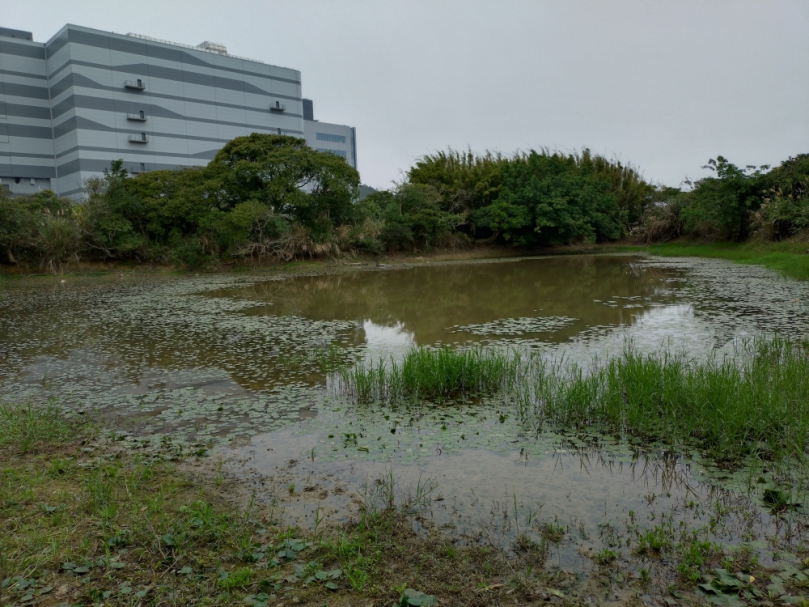 最高6萬元獎勵金   新竹林業分署3/5辦理赤腹游蛇生態巡護說明會