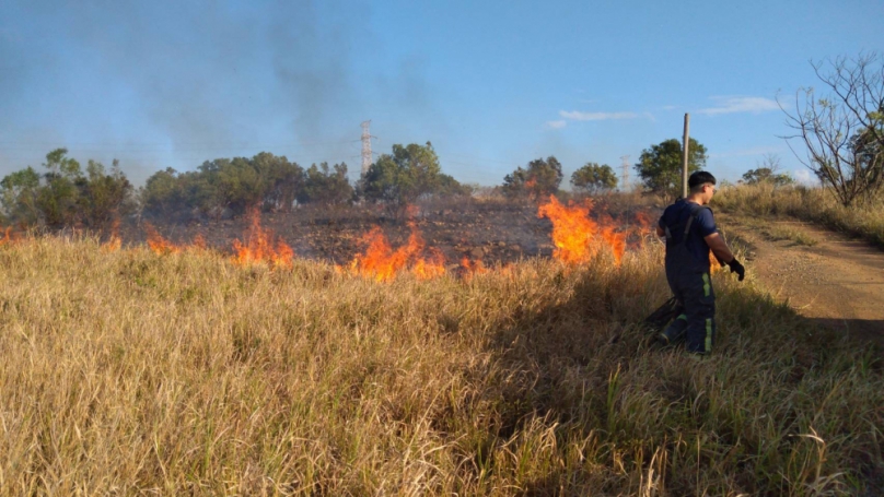林業及自然保育署臺中分署推動金紙集中處理清明節安心祭祖沒煩惱