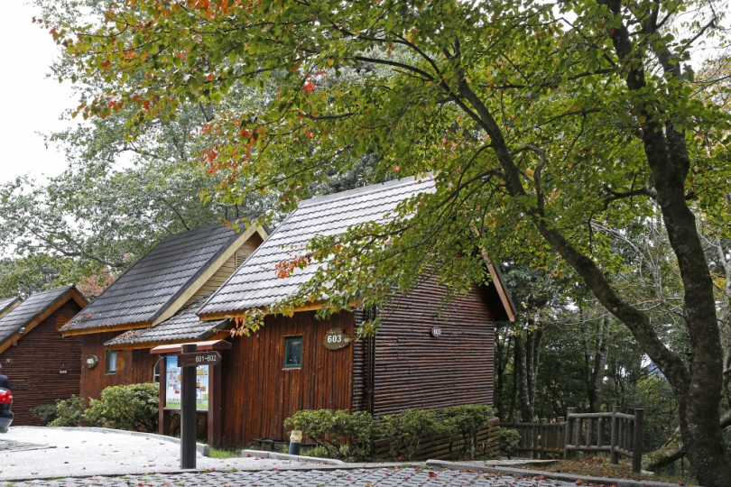 大雪山國家森林遊樂區住宿及餐飲促參委外，預計年底全區提供優質服務體驗