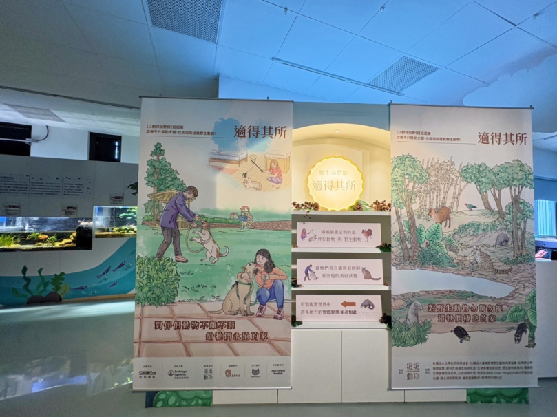 適得其所！中市水利局辦「以動保挺野保巡迴展」提升民眾保育意識